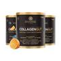 Imagem de Kit com 3 collagen gut 400g essential