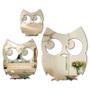 Imagem de Kit Com 3 Corujas Em Espelho Decorativo Acrílico