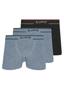 Imagem de Kit com 3 Cuecas Boxer Lupo 733-004 Colorido