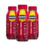 Imagem de Kit com 3 Engov After Red Hits