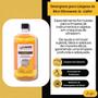 Imagem de Kit Com 3 Fluidos E 3 Detergentes Test/ E Limpeza Injetores 1 Litro