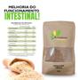 Imagem de Kit Com 3 Psyllium Husk Premium Rico Em Fibras 100G