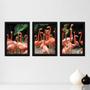 Imagem de Kit Com 3 Quadros - Flamingos Natureza Animais - 030kq02p