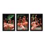 Imagem de Kit Com 3 Quadros - Flamingos Natureza Animais - 030kq02p