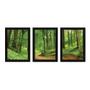 Imagem de Kit Com 3 Quadros - Floresta Árvores Paisagem - 060kq02p
