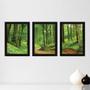 Imagem de Kit Com 3 Quadros - Floresta Árvores Paisagem - 060kq02p