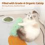 Imagem de Kit com 3 Travesseiros para Gatos Potaroma - Macios, Duráveis e com Erva-do-Gato