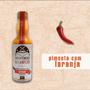 Imagem de Kit com 3 unidades, Molho De Pimenta Com Laranja 60 ml