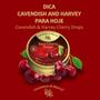 Imagem de Kit Com 3Und Bala Cavendish & Harvey Sour Cherry Drops 200G