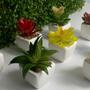 Imagem de Kit Com 4 Suculenta Artificial Mini Vaso de Cerâmica Branco