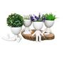 Imagem de Kit Com 4 Vasos Bob/Robert Plant Branco 10Cm