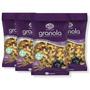 Imagem de Kit Com 4Und Granola Com Açai Ws Paladar 500G