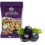 Imagem de Kit Com 4Und Granola Com Açai Ws Paladar 500G