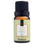 Imagem de Kit com 5 Essências 10ml - Via Aroma
