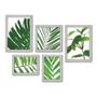 Imagem de Kit Com 5 Quadros Decorativos - Folhagem Folhas - 009kq01b