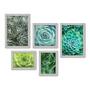 Imagem de Kit Com 5 Quadros Decorativos - Suculentas - Plantas - 198kq01b