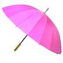 Imagem de Kit com 6 Guarda-Chuva Hastes Reforçadas