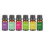 Imagem de Kit Com 6 Oleos Essenciais De 10ml Cada Multi Saúde