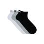 Imagem de Kit com 6 Pares Meia Sapatilha Mash Ref. 205.02