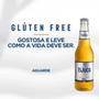 Imagem de Kit Com 6Und Cerveja Cerpa Tijuca Silver Gluten Free 355Ml