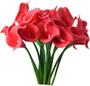 Imagem de Kit Com 9 Flores Copos De Leite Vermelho Toque Real Buque