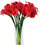 Imagem de Kit Com 9 Flores Copos De Leite Vermelho Toque Real Buque
