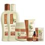 Imagem de Kit Combo 6 Produtos Bio Extratus Linha Umectante Coco