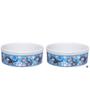 Imagem de Kit Comedouro e Bebedouro Pet de Porcelana 600ml Gato Azul