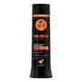 Imagem de Kit Completo Haskell Encorpa Cabelo 300Ml