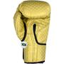 Imagem de Kit Completo Muay Thai Luva De Boxe Prisma Bolsa Gladiadora