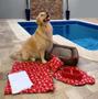 Imagem de Kit Completo para Cachorro com 6 Peças Tam M - Casa Com Amor