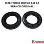 Imagem de Kit Completo Pistao Std Jogo Juntas Anéis Motor Branco MT B4T 5,5 19815350 Original