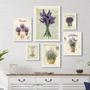 Imagem de Kit Composição 6 Quadros Lavanda Provençal - Com Vidro