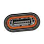 Imagem de Kit Conector e Terminal Caminhão MB Módulo PLD 16 Vias Macho
