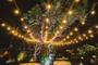 Imagem de KIT Cordão Varal de Luz Festão 50 Metros com 100 Lâmpadas Branco Quente Bivolt