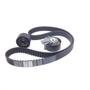 Imagem de Kit Correia/Tensor 307/Xsara