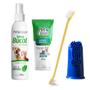 Imagem de kIT Creme Dental Menta e Spray Menta Pet Clean Acompanha Dedeira Flexível e Escova Dupla cores sortidas para Cachorros e