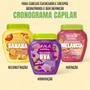 Imagem de Kit Cronograma Skala Frutástica: Hidratação, Reconstrução e Nutrição com Cremes 2 em 1 Uva, Banana e Melancia