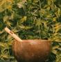 Imagem de Kit Cumbuca /tigela /bowl De Coco Natural + Colher De Bambu