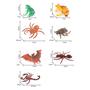 Imagem de Kit de animais e insetos - 1 kit 2 modelos - hm toys - 2314