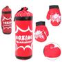 Imagem de Kit De Boxe Muay Thai Infantil Saco Pancadas E Luvas