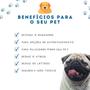 Imagem de Kit de Brinquedos Para Cachorro 4 Uni Mordedores Com Apito