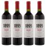Imagem de Kit de Vinhos Tintos Argentinos Norton 1895 Malbec c/ 4 garrafas 750ml