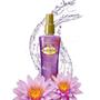 Imagem de Kit Deo Colônia Phytoderm Vanilla Kiss + Pure Secret Com 6 200ml