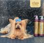 Imagem de Kit  Dolce Pet Shampo Suave + Condicionador 500ml  e Colonia Cereja Avelã