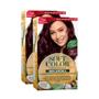 Imagem de KIT DUO Soft Color Coloração Borgon 46