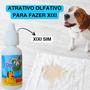 Imagem de Kit Educador Sanitário XIXI SIM Dog Way 20ml Para Pets + 3 Tapetes Higiênicos Pet 70x50