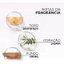 Imagem de Kit Elseve Shampoo 375ml + Condicionador Glycolic Gloss 170ml