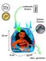 Imagem de Kit Escolar Moana Mochila de Rodas + Lancheira + Estojo