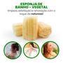 Imagem de Kit Esponja Bucha Vegetal Natural Limpeza P/ Banho Esfoliação C/3un